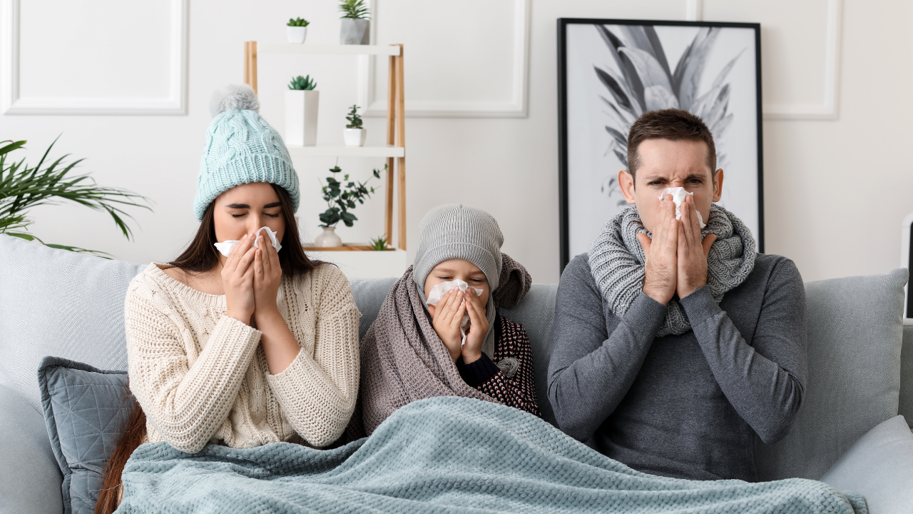 gribe ne iyi gelir